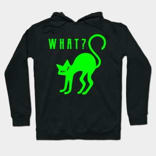 What? Halloween Cat Hoodie